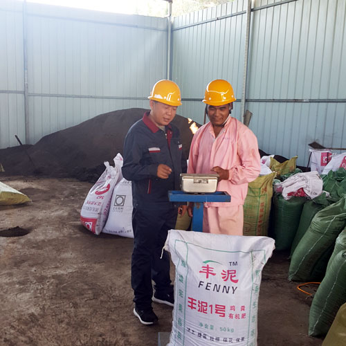 丰泥1号（无辅料添加）