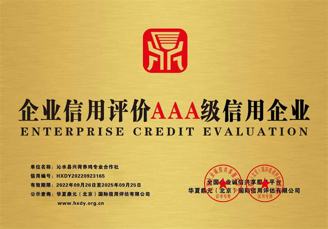 企业3A级信用评价