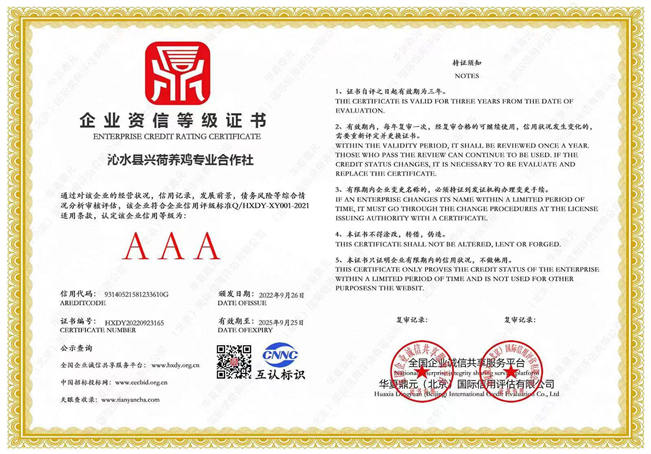 企业资信等级证书