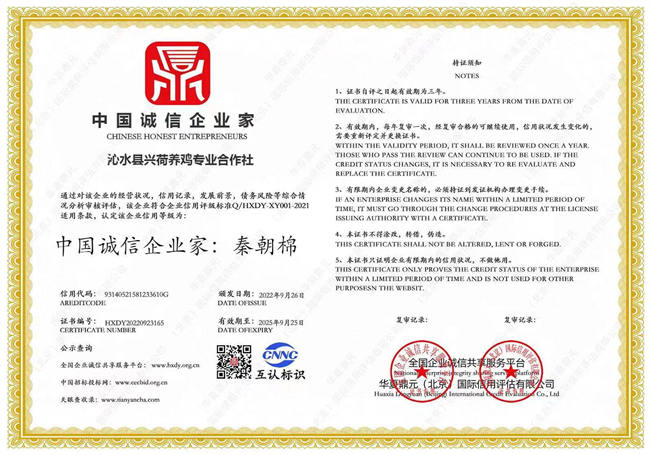 中国诚信企业家证书